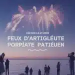 Feux d'artifice Côte d'Azur 2025, ciel nocturne magique
