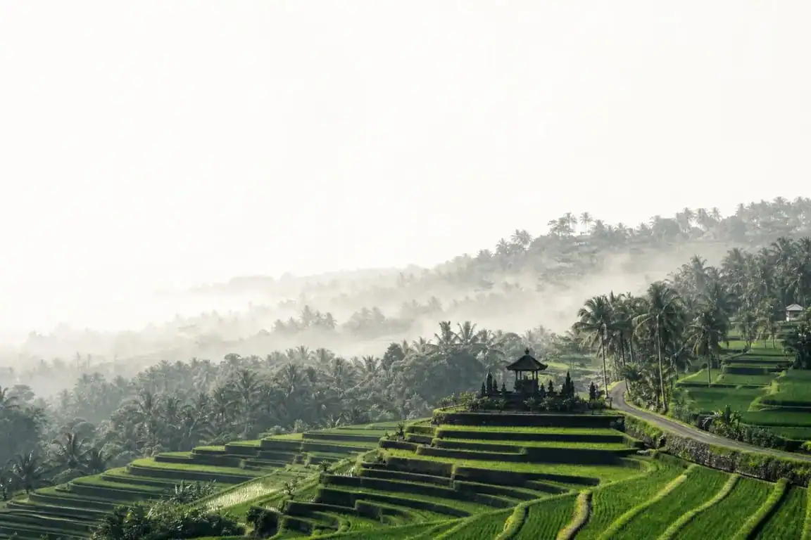 Ubud city Bali au lever du jour avec rizières en terrasses et temple balinais