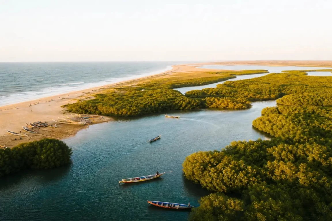 senegal paysage : panorama du delta du Saloum avec mangrove, pirogues et lumière dorée